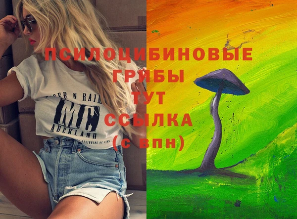 не бодяженный Белокуриха
