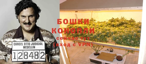 не бодяженный Белокуриха
