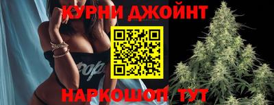 МДПВ Волгодонск