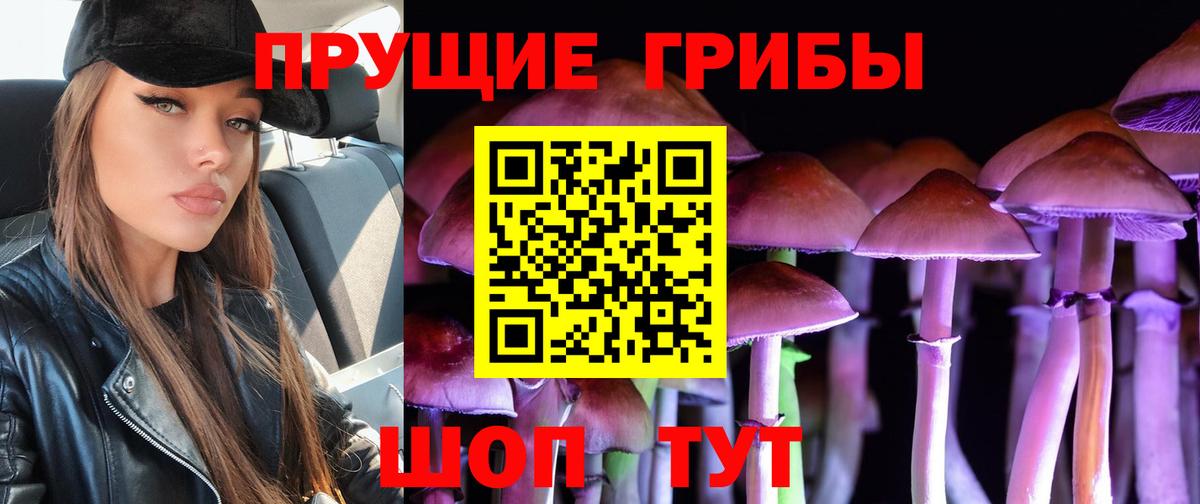 Галлюциногенные грибы GOLDEN TEACHER  Вход с VPN  Галлюциногенные грибы мухоморы  Великие Луки 